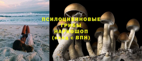 крисы Абдулино